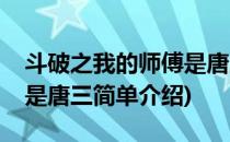 斗破之我的师傅是唐三(对于斗破之我的师傅是唐三简单介绍)