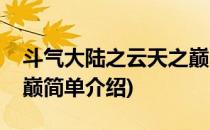 斗气大陆之云天之巅(对于斗气大陆之云天之巅简单介绍)