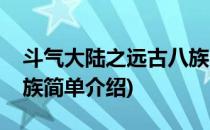 斗气大陆之远古八族(对于斗气大陆之远古八族简单介绍)