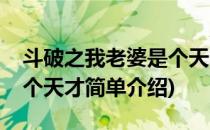 斗破之我老婆是个天才(对于斗破之我老婆是个天才简单介绍)