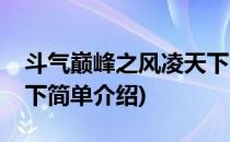 斗气巅峰之风凌天下(对于斗气巅峰之风凌天下简单介绍)