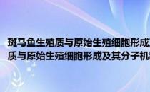 斑马鱼生殖质与原始生殖细胞形成及其分子机制的研究(对于斑马鱼生殖质与原始生殖细胞形成及其分子机制的研究简单介绍)