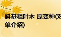 斜基粗叶木 原变种(对于斜基粗叶木 原变种简单介绍)