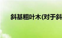 斜基粗叶木(对于斜基粗叶木简单介绍)