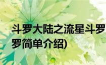 斗罗大陆之流星斗罗(对于斗罗大陆之流星斗罗简单介绍)