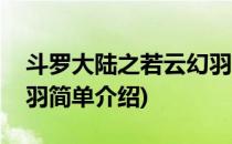 斗罗大陆之若云幻羽(对于斗罗大陆之若云幻羽简单介绍)