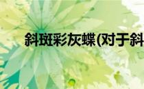 斜斑彩灰蝶(对于斜斑彩灰蝶简单介绍)