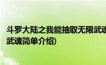 斗罗大陆之我能抽取无限武魂(对于斗罗大陆之我能抽取无限武魂简单介绍)