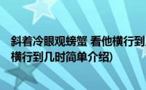 斜着冷眼观螃蟹 看他横行到几时(对于斜着冷眼观螃蟹 看他横行到几时简单介绍)