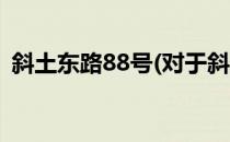 斜土东路88号(对于斜土东路88号简单介绍)