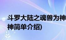 斗罗大陆之魂兽为神(对于斗罗大陆之魂兽为神简单介绍)