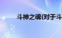 斗神之魂(对于斗神之魂简单介绍)