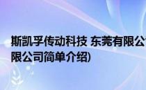 斯凯孚传动科技 东莞有限公司(对于斯凯孚传动科技 东莞有限公司简单介绍)