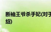 断袖王爷杀手妃(对于断袖王爷杀手妃简单介绍)