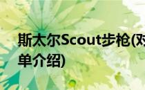 斯太尔Scout步枪(对于斯太尔Scout步枪简单介绍)