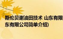 斯伦贝谢油田技术 山东有限公司(对于斯伦贝谢油田技术 山东有限公司简单介绍)