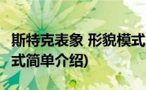 斯特克表象 形貌模式(对于斯特克表象 形貌模式简单介绍)