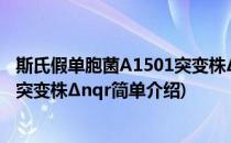 斯氏假单胞菌A1501突变株Δnqr(对于斯氏假单胞菌A1501突变株Δnqr简单介绍)