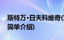 斯特万·日夫科维奇(对于斯特万·日夫科维奇简单介绍)