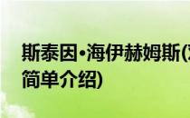 斯泰因·海伊赫姆斯(对于斯泰因·海伊赫姆斯简单介绍)