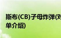 斯布(CB)子母炸弹(对于斯布(CB)子母炸弹简单介绍)