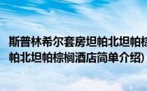 斯普林希尔套房坦帕北坦帕棕榈酒店(对于斯普林希尔套房坦帕北坦帕棕榈酒店简单介绍)
