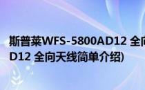 斯普莱WFS-5800AD12 全向天线(对于斯普莱WFS-5800AD12 全向天线简单介绍)