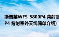 斯普莱WFS-5800P4 背射室外天线(对于斯普莱WFS-5800P4 背射室外天线简单介绍)