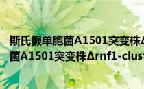 斯氏假单胞菌A1501突变株Δrnf1-cluster(对于斯氏假单胞菌A1501突变株Δrnf1-cluster简单介绍)