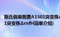 斯氏假单胞菌A1501突变株ΔrnfH(对于斯氏假单胞菌A1501突变株ΔrnfH简单介绍)