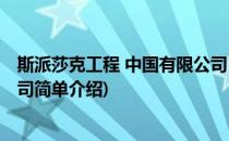 斯派莎克工程 中国有限公司(对于斯派莎克工程 中国有限公司简单介绍)