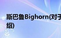 斯巴鲁Bighorn(对于斯巴鲁Bighorn简单介绍)