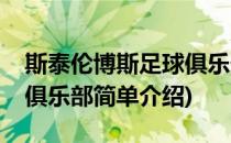 斯泰伦博斯足球俱乐部(对于斯泰伦博斯足球俱乐部简单介绍)