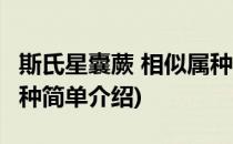 斯氏星囊蕨 相似属种(对于斯氏星囊蕨 相似属种简单介绍)