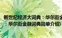 新世纪经济大词典：华尔街金融词典(对于新世纪经济大词典：华尔街金融词典简单介绍)