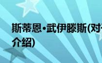 斯蒂恩·武伊滕斯(对于斯蒂恩·武伊滕斯简单介绍)