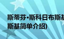 斯蒂芬·斯科日布斯基(对于斯蒂芬·斯科日布斯基简单介绍)