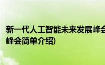 新一代人工智能未来发展峰会(对于新一代人工智能未来发展峰会简单介绍)