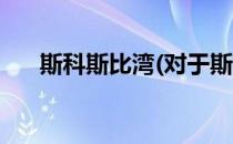 斯科斯比湾(对于斯科斯比湾简单介绍)