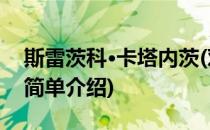 斯雷茨科·卡塔内茨(对于斯雷茨科·卡塔内茨简单介绍)