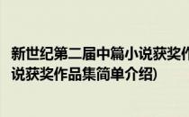 新世纪第二届中篇小说获奖作品集(对于新世纪第二届中篇小说获奖作品集简单介绍)