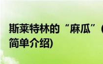 斯莱特林的“麻瓜”(对于斯莱特林的“麻瓜”简单介绍)