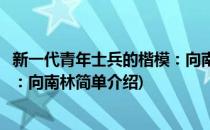 新一代青年士兵的楷模：向南林(对于新一代青年士兵的楷模：向南林简单介绍)