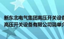 新东北电气集团高压开关设备有限公司(对于新东北电气集团高压开关设备有限公司简单介绍)