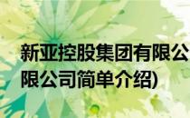 新亚控股集团有限公司(对于新亚控股集团有限公司简单介绍)