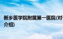 新乡医学院附属第一医院(对于新乡医学院附属第一医院简单介绍)
