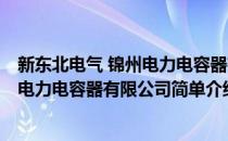 新东北电气 锦州电力电容器有限公司(对于新东北电气 锦州电力电容器有限公司简单介绍)