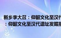 新乡李大召：仰韶文化至汉代遗址发掘报告(对于新乡李大召：仰韶文化至汉代遗址发掘报告简单介绍)