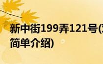 新中街199弄121号(对于新中街199弄121号简单介绍)