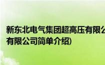 新东北电气集团超高压有限公司(对于新东北电气集团超高压有限公司简单介绍)